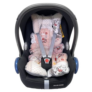 Ezh Puset ve Oto Koltuğu Minderi P1010